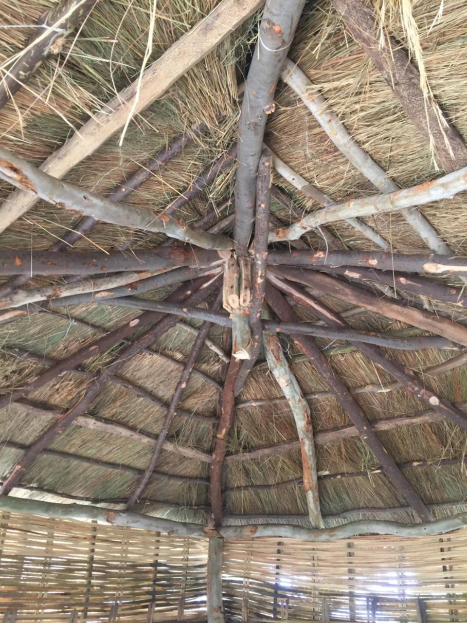 Chez Bethy & Baboulaye Jungle Et Ocean Villa Abémé Dış mekan fotoğraf